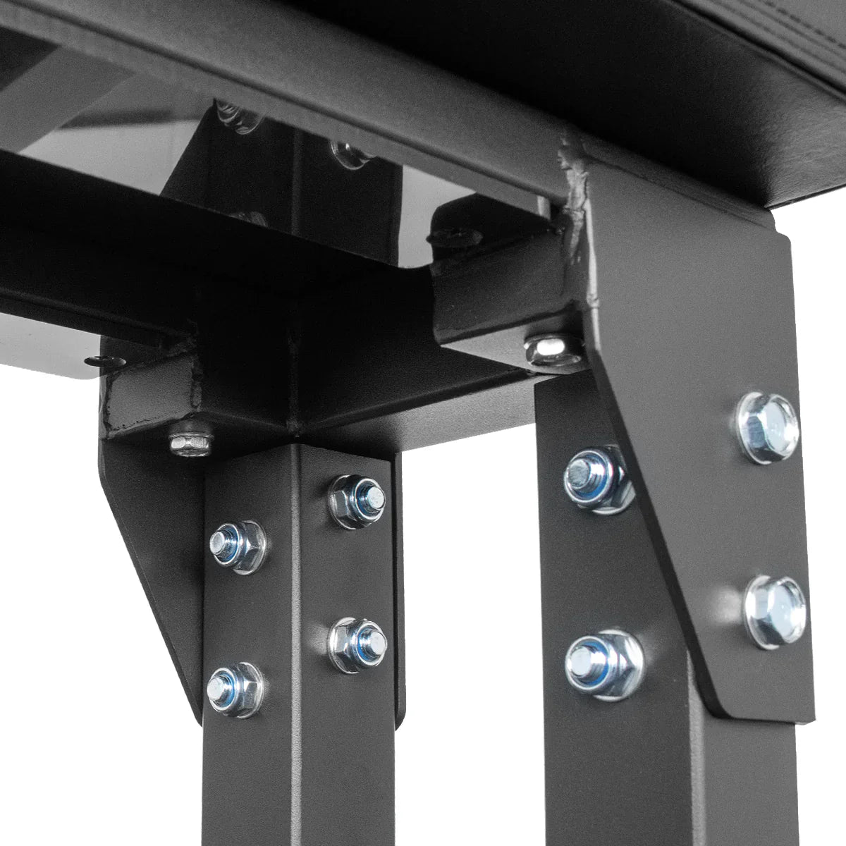 Seal Row Bench 2.0 - Energy Tool